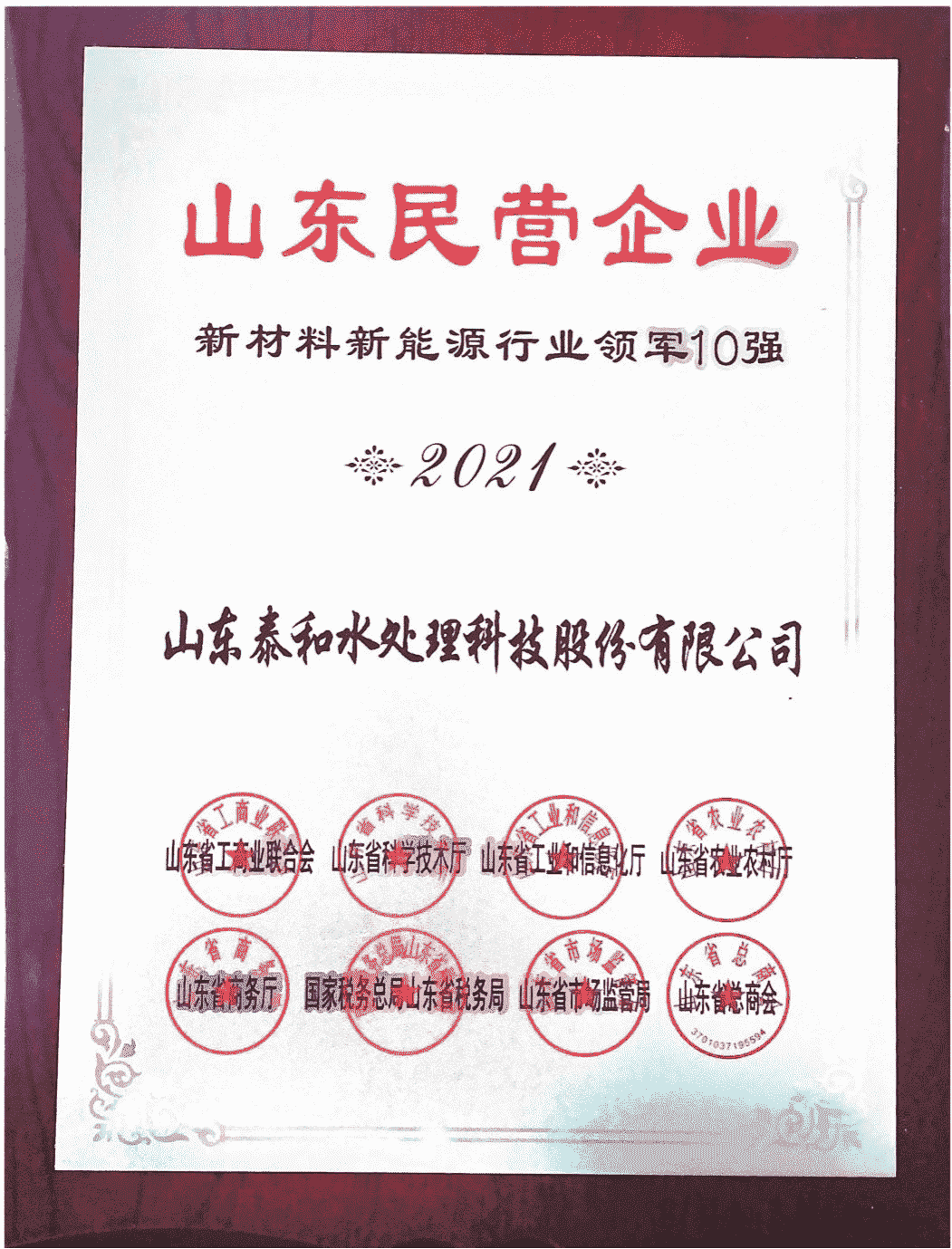 2021年山東民營(yíng)企業(yè)新材料新能源行業(yè)領(lǐng)軍10強(qiáng)